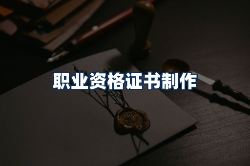 职业资格展示